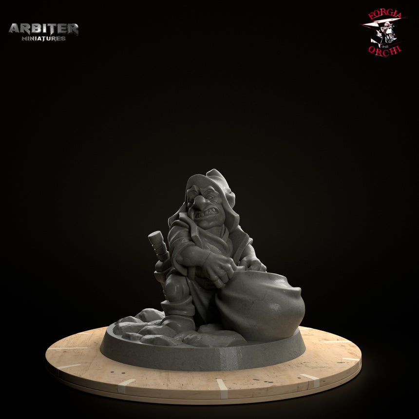 Male Gnome Rogue