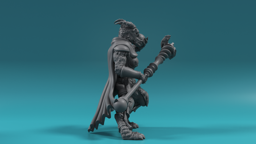 Dragonborn Sorceress