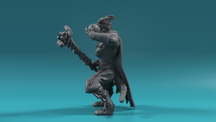 Dragonborn Sorceress