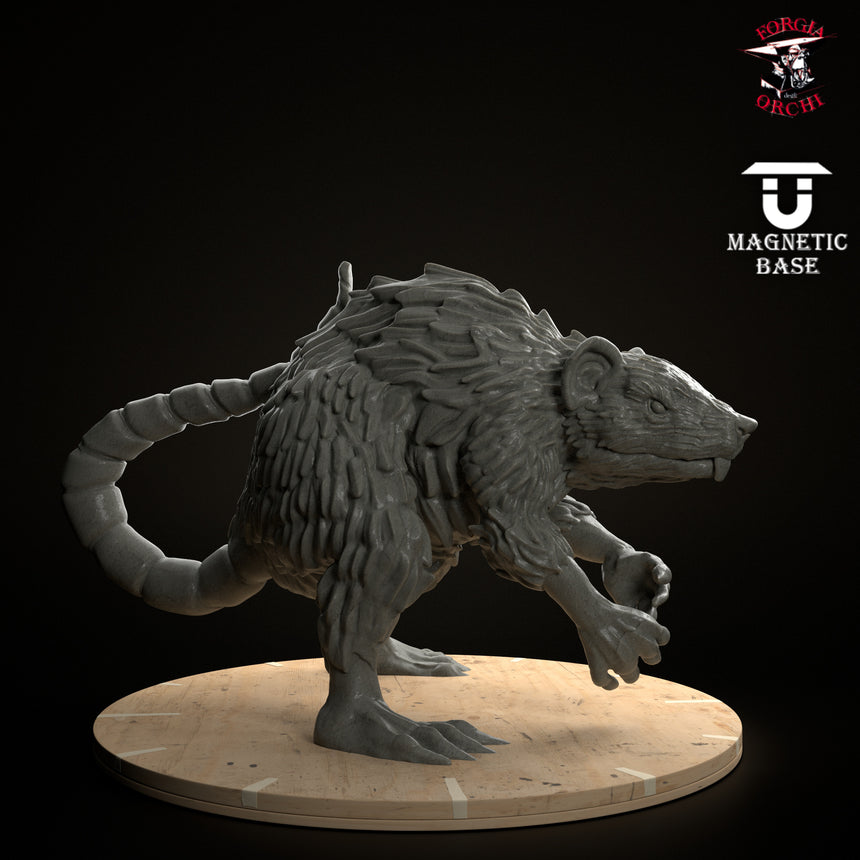 Giant Rat