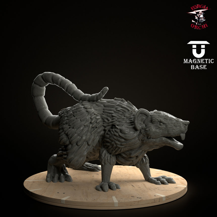 Giant Rat