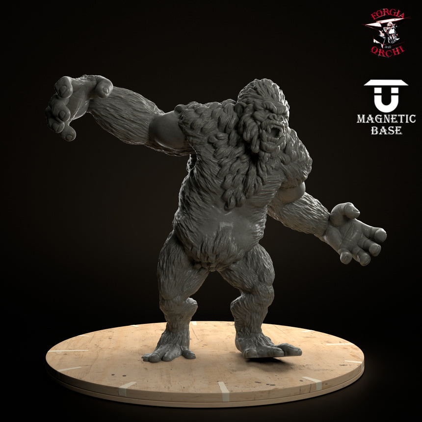 Yeti