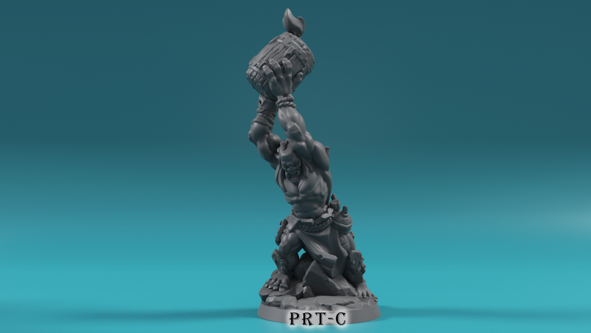 Orcs Set i