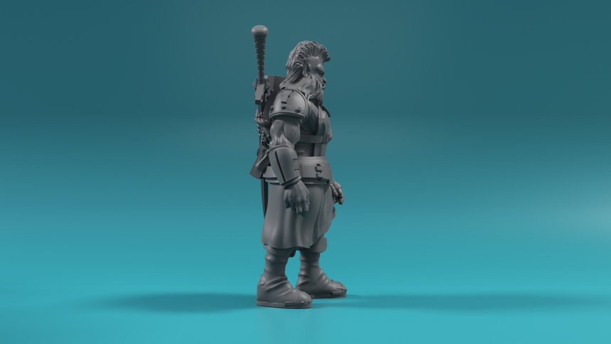 Barbarian orc