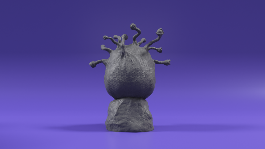 Observer (ESCLUSIVO)