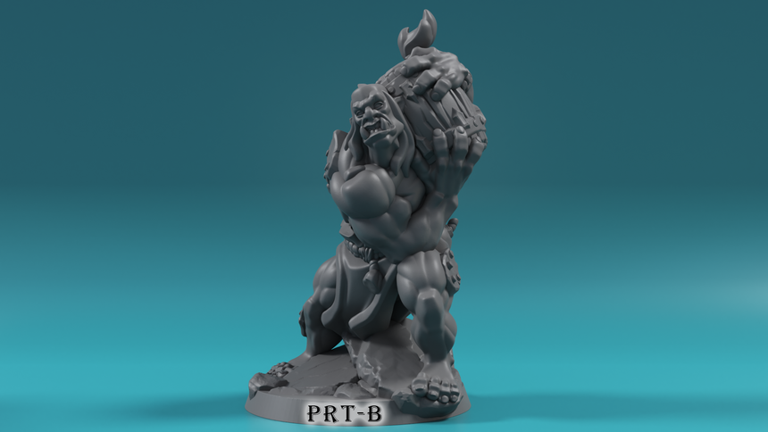 Orcs Set B