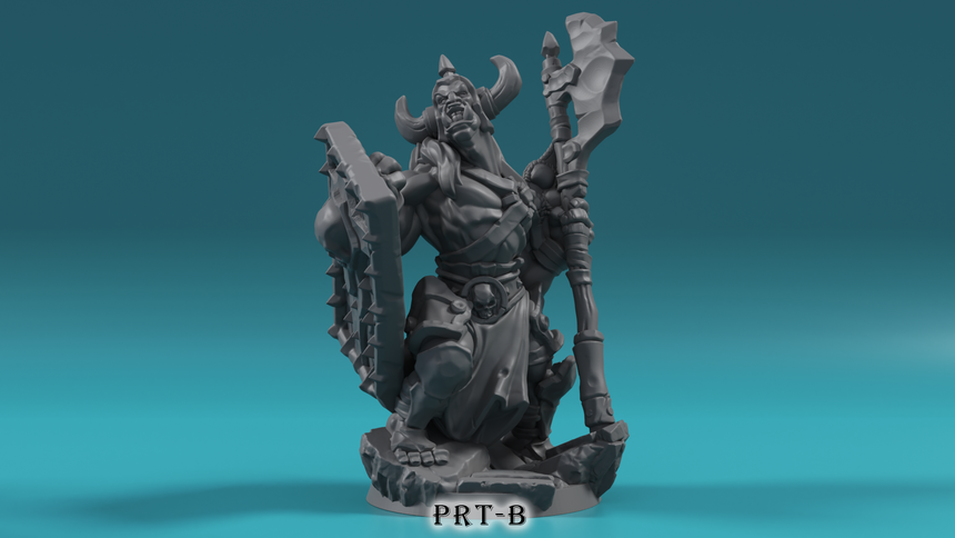 Orcs Set E