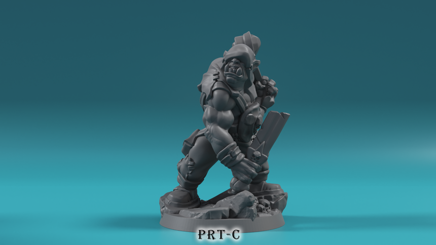 Orcs Set E