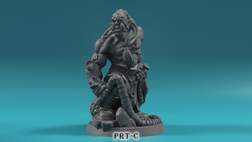 Orcs Set H